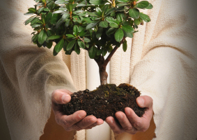 Photo of Jesus holding a tree.